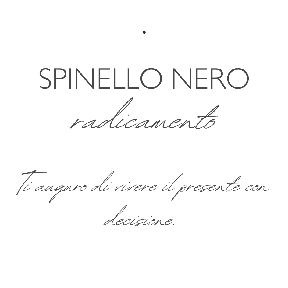 Radicamento - Spinello Nero - Collana Mirai